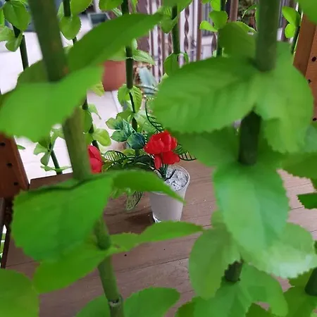 Dolce Dormire Отель типа 