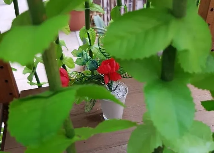 Dolce Dormire Bed & Breakfast Palermo